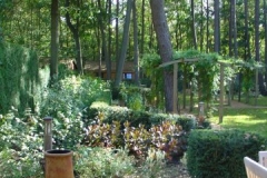DSC01165