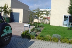 DSC01131