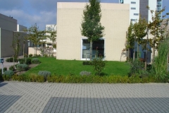DSC01133