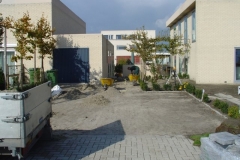 DSC01147