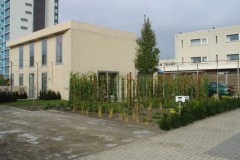 DSC01168