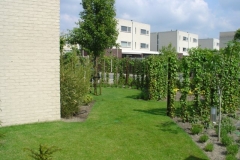 DSC01805