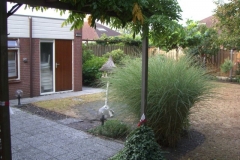 CIMG0369