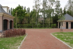 DSC00392