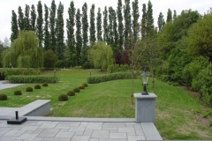 DSC00394