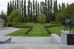 DSC00396