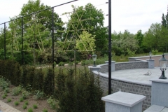 DSC00397