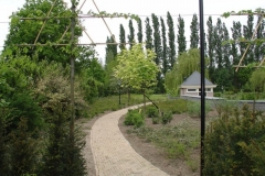 DSC00398