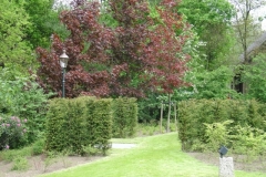 DSC00401