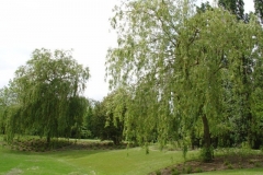 DSC00405