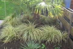 CIMG0443